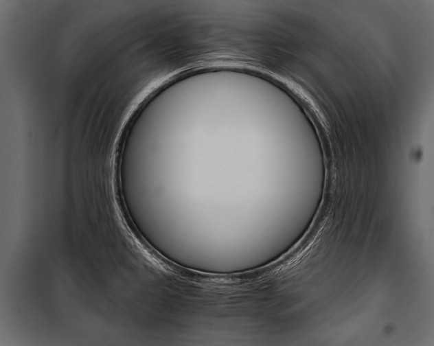 X0000100931333200806241128