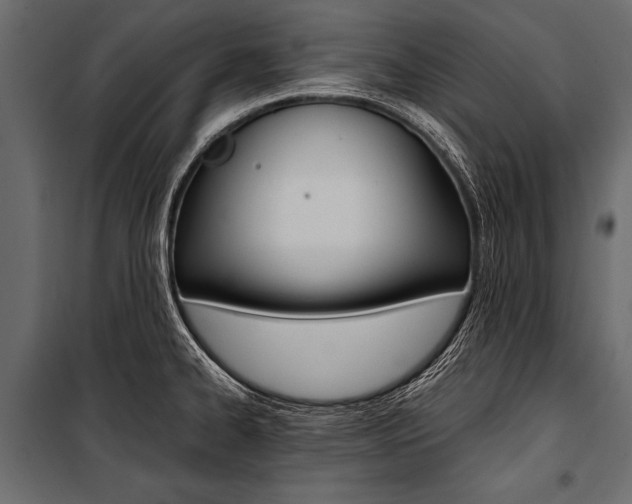 X0000100931334200806241128