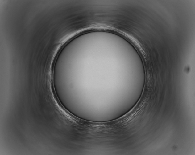 X0000100931335200806241128