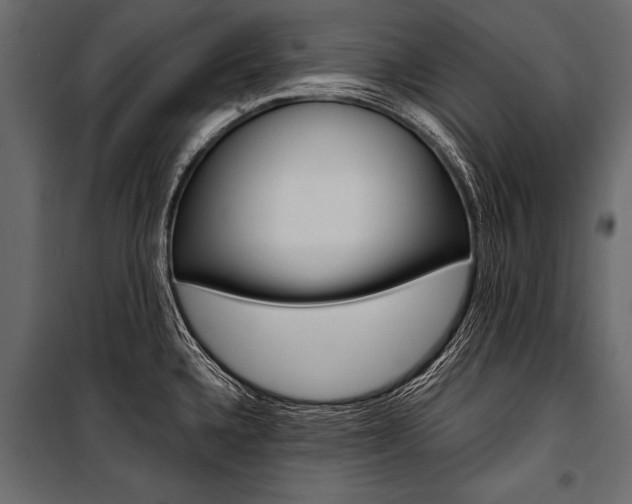 X0000100931336200806241128