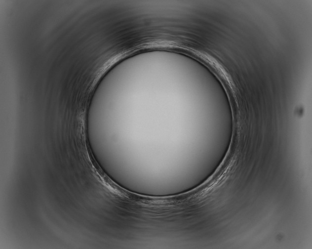 X0000100931337200806241128
