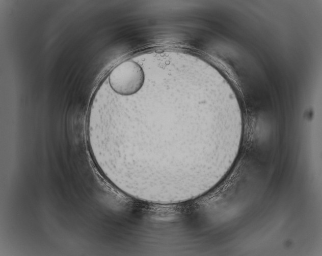 X0000100931338200806241128