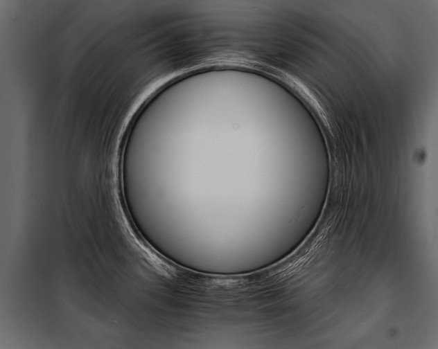 X0000100931339200806241128