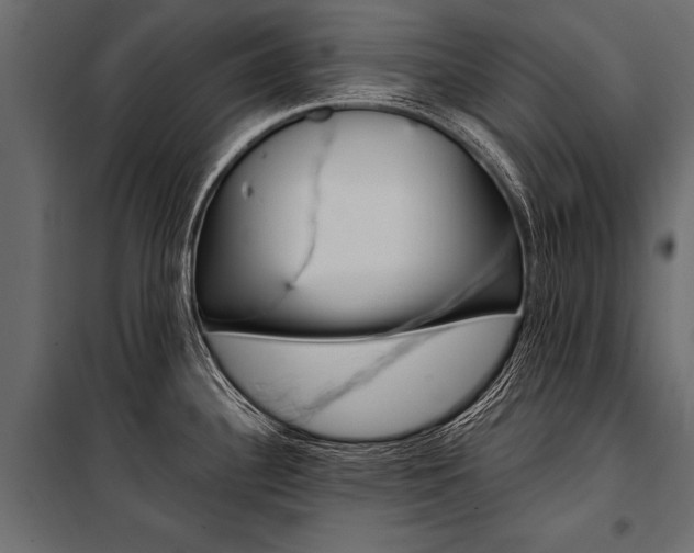 X0000100931340200806241128