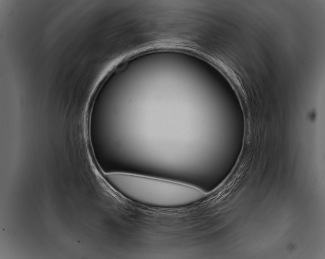 X0000100931342200806241128