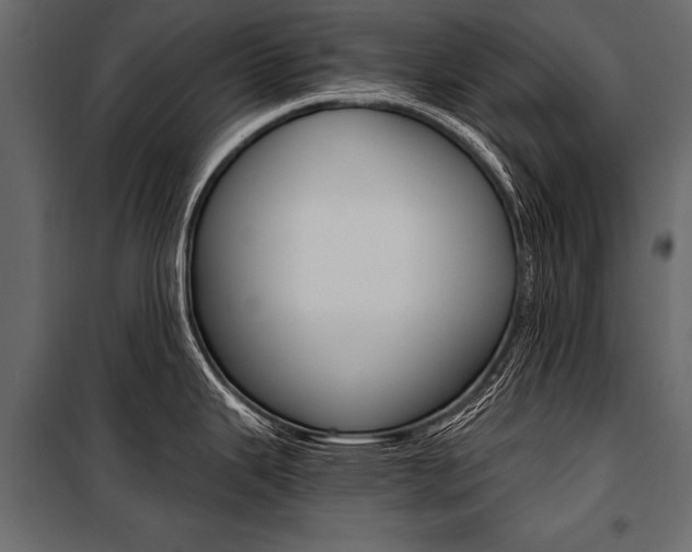 X0000100931343200806241128