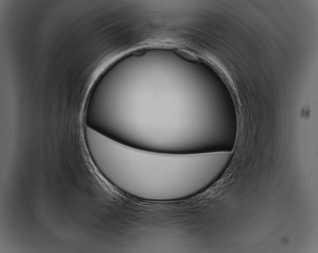 X0000100931344200806241128