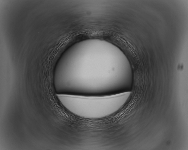 X0000100931345200806241128