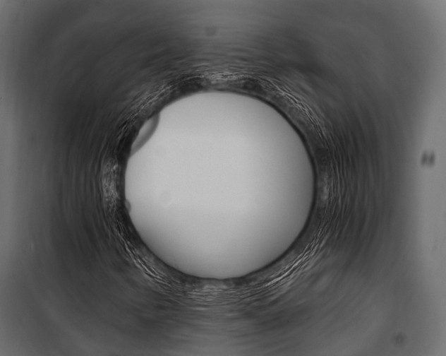 X0000100931346200806241128