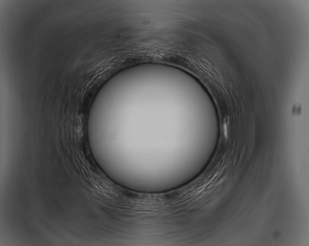 X0000100931347200806241128