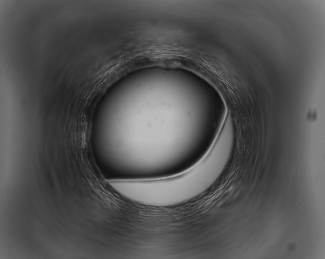 X0000100931348200806241128