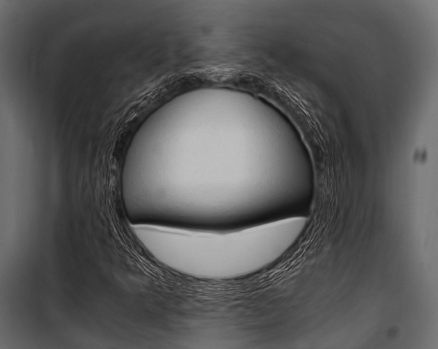 X0000100931349200806241128