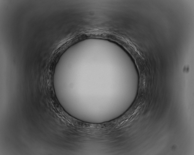 X0000100931350200806241128