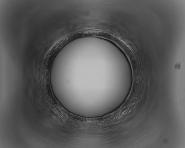 X0000100931351200806241128