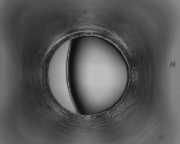 X0000100931352200806241128