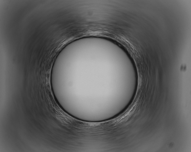 X0000100931353200806241127