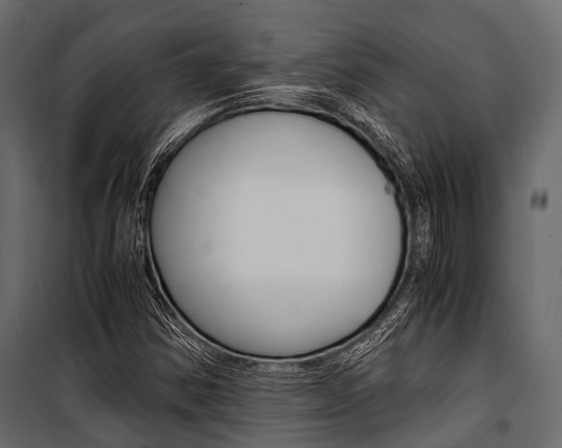 X0000100931354200806241127