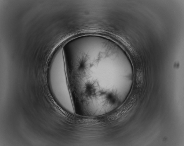 X0000100931356200806241127