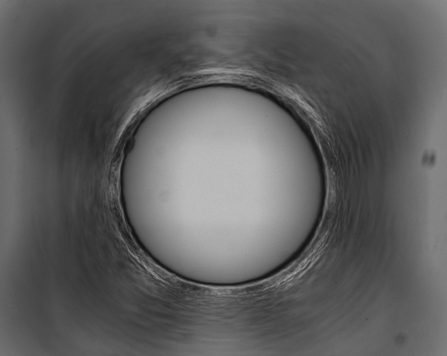 X0000100931357200806241127