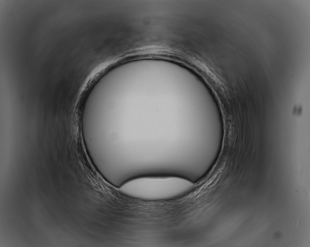 X0000100931358200806241127