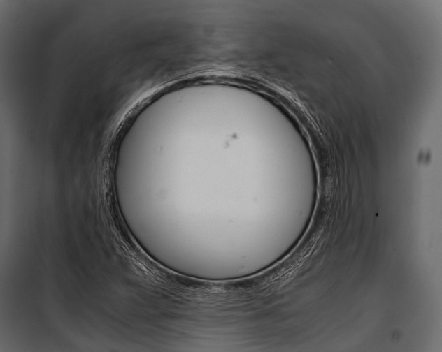 X0000100931359200806241127