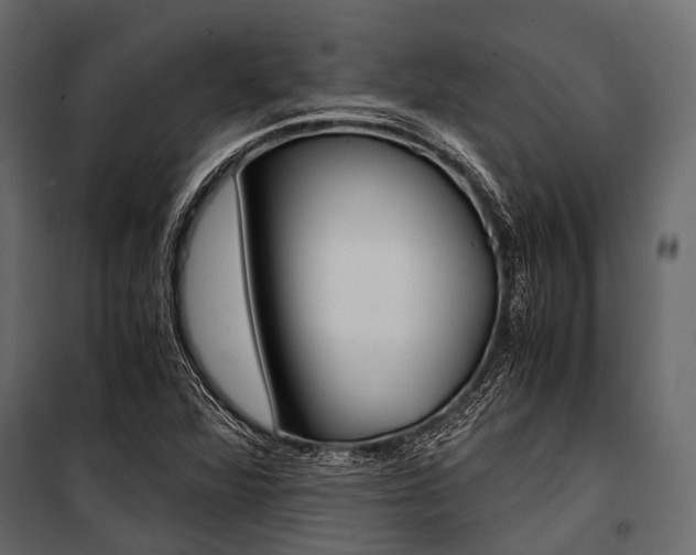 X0000100931360200806241127