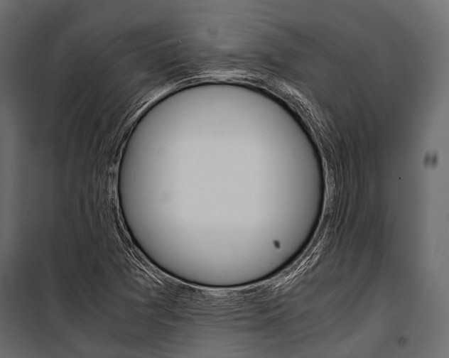 X0000100931361200806241127