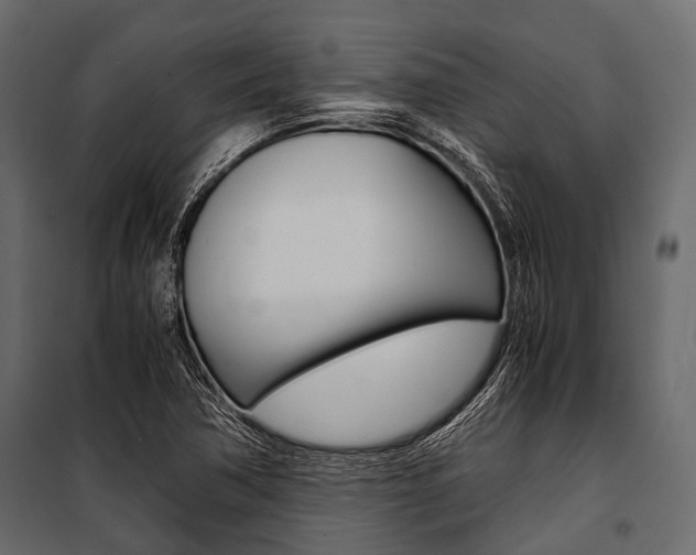 X0000100931362200806241127