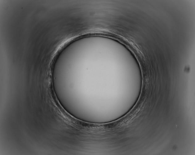 X0000100931363200806241127