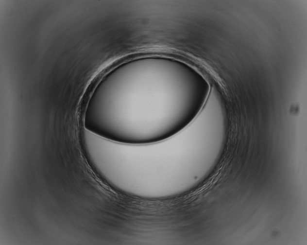 X0000100931364200806241127