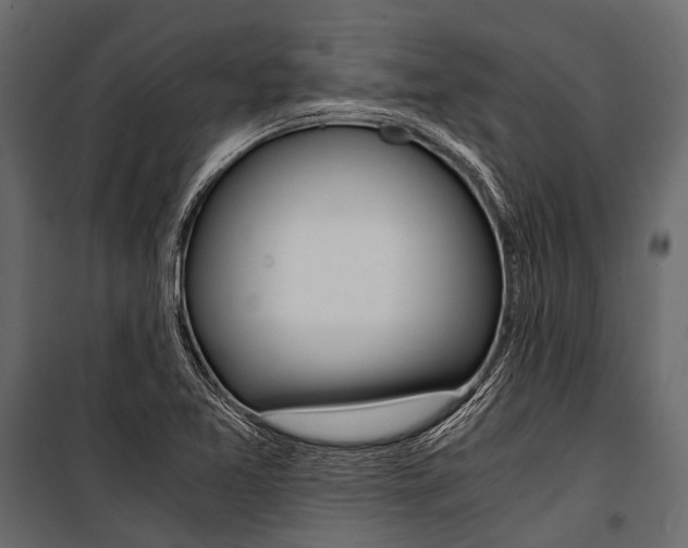 X0000100931365200806241127