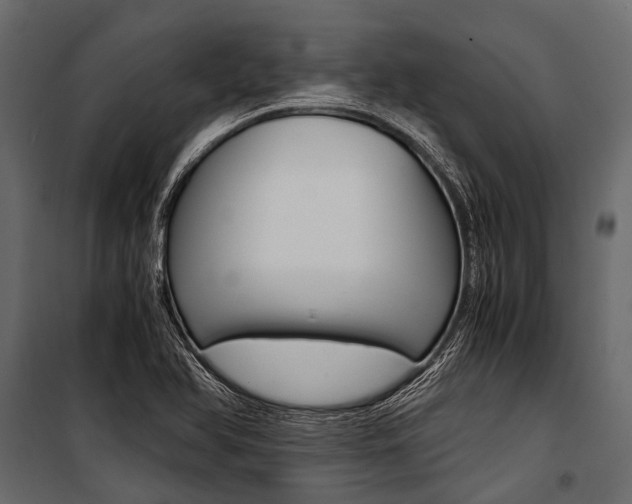 X0000100931366200806241127
