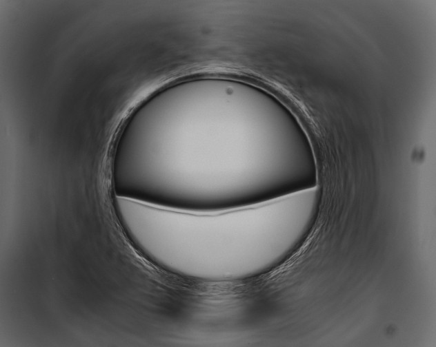 X0000100931367200806241127