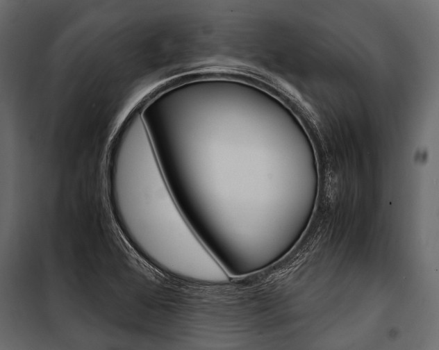 X0000100931368200806241127