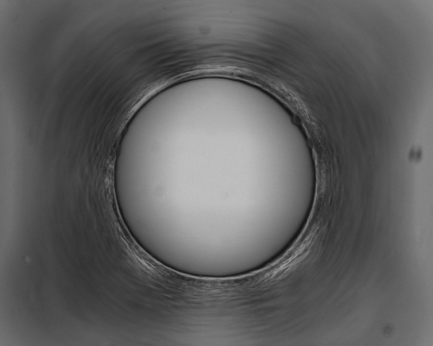 X0000100931369200806241127