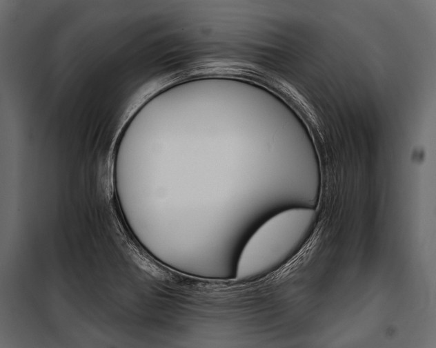 X0000100931370200806241127