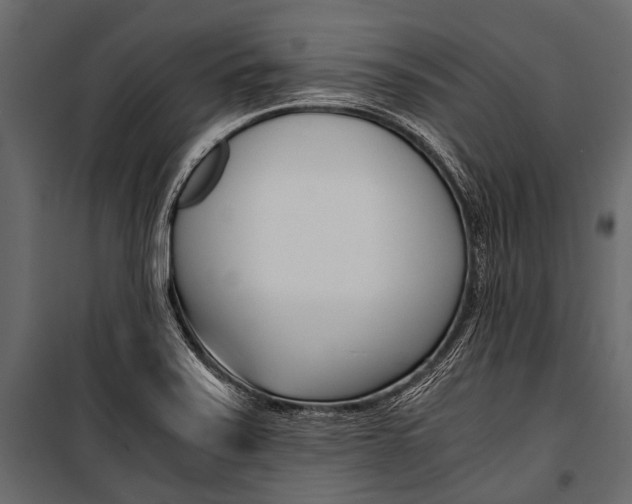 X0000100931371200806241127