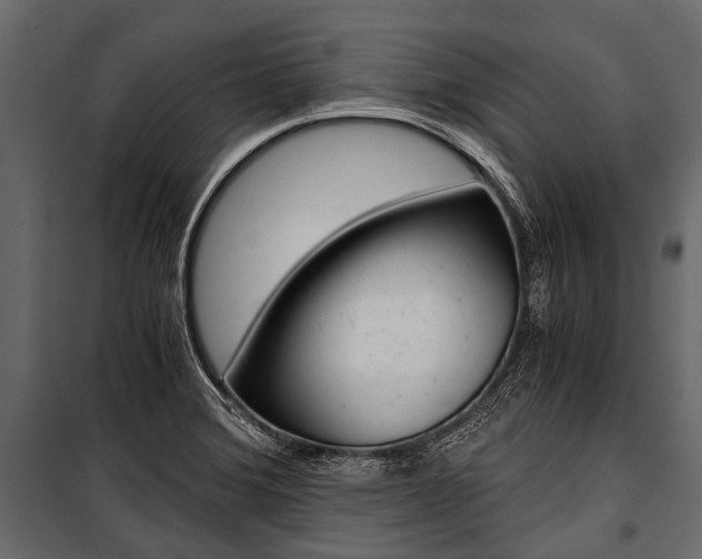 X0000100931372200806241127