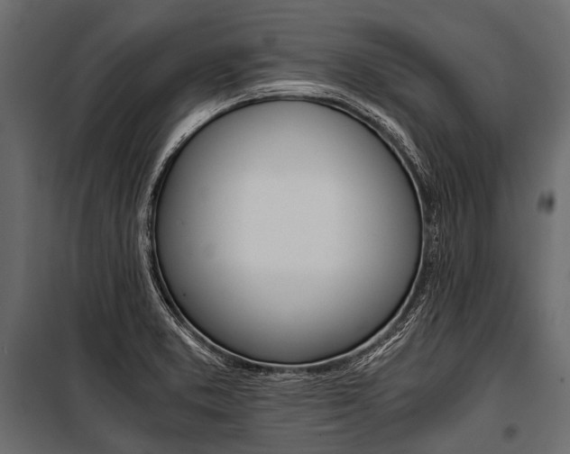 X0000100931373200806241127