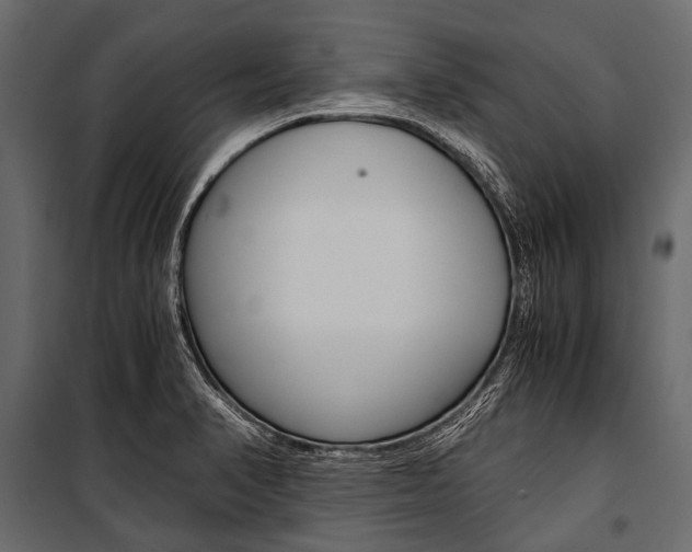 X0000100931374200806241127