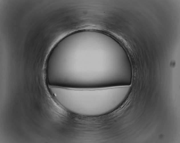 X0000100931375200806241127