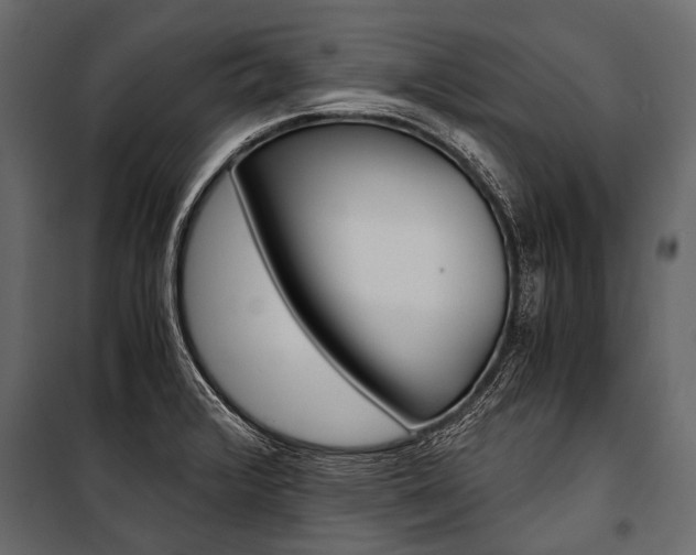 X0000100931376200806241127