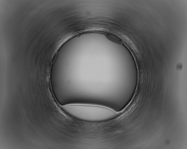 X0000100931377200806241127