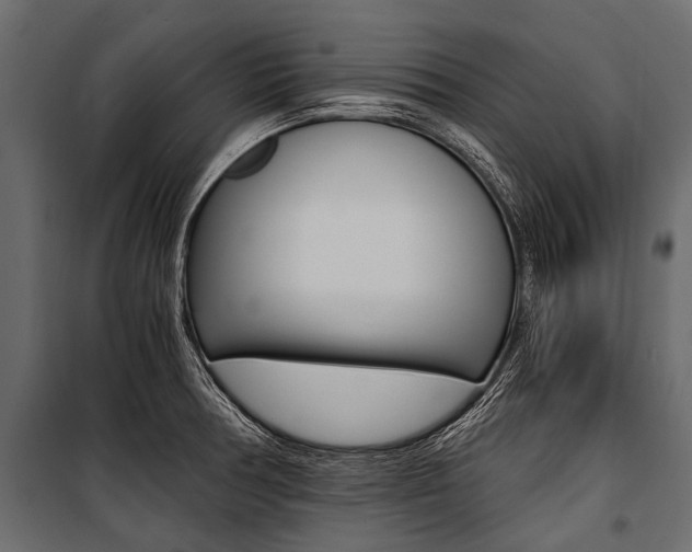 X0000100931378200806241127