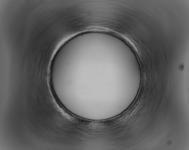 X0000100931379200806241127