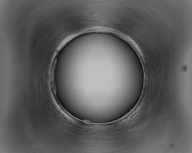 X0000100931381200806241127