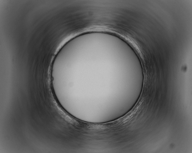 X0000100931382200806241127