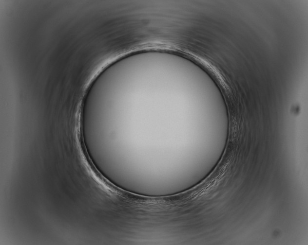 X0000100931383200806241127