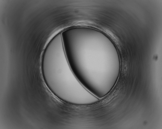 X0000100931384200806241127