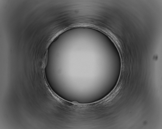 X0000100931385200806241127